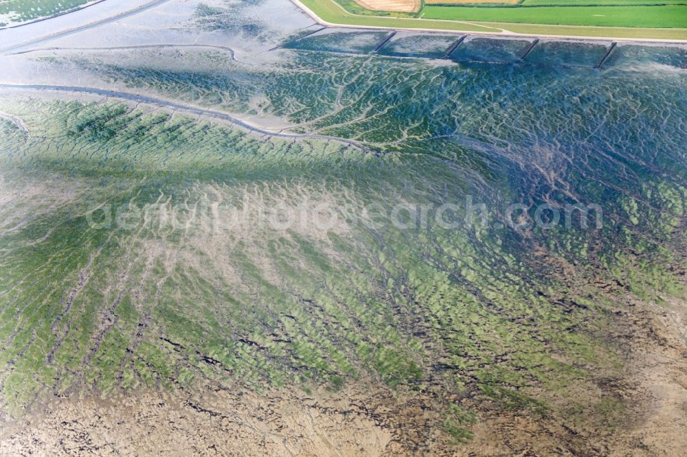 Pellworm from above - Coastal area an watts near the Island of Pellworm in the state Schleswig-Holstein