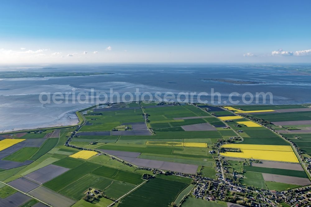 Aerial image Nordstrand - Coastal area Wiesen and Felof of Halb - Island in Nordstrand in the state Schleswig-Holstein, Germany