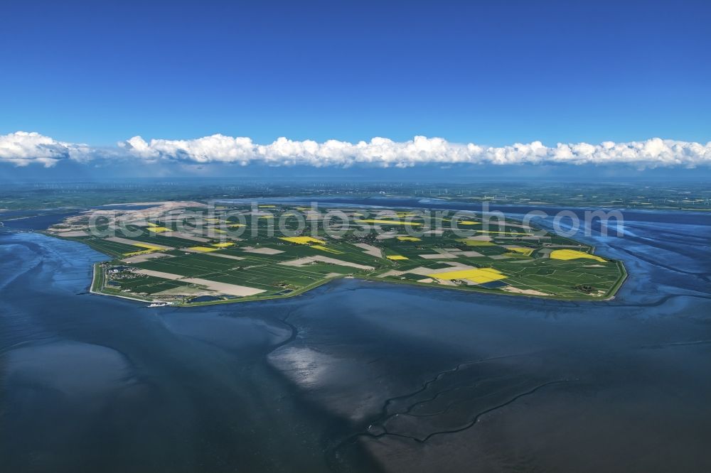 Aerial photograph Nordstrand - Coastal area Wiesen and Felof of Halb - Island in Nordstrand in the state Schleswig-Holstein, Germany