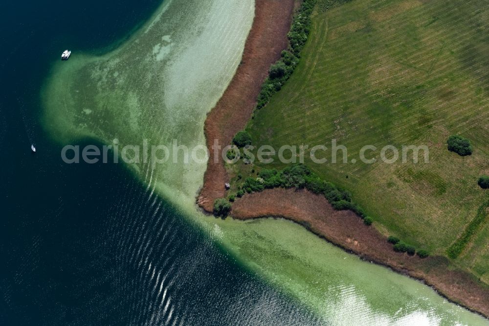 Aerial image Radolfzell am Bodensee - Peninsula with land access and shore area on the in Radolfzell am Bodensee in the state Baden-Wuerttemberg, Germany