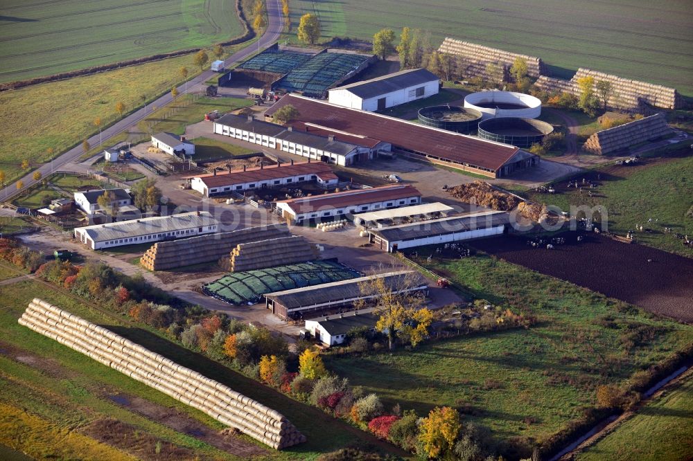 Colbitz from above - View of the animal breeding facility in Colbitz in the state Saxony-Anhalt