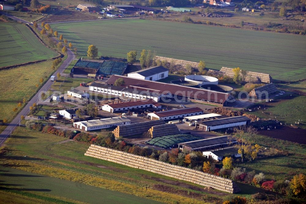 Colbitz from above - View of the animal breeding facility in Colbitz in the state Saxony-Anhalt