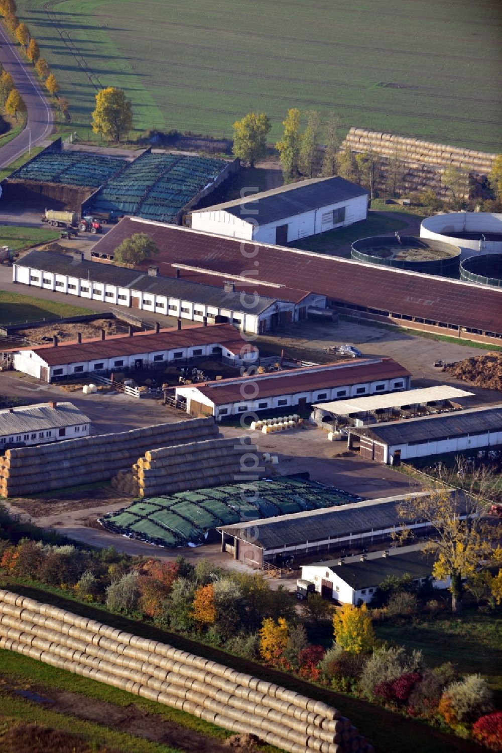 Colbitz from the bird's eye view: View of the animal breeding facility in Colbitz in the state Saxony-Anhalt