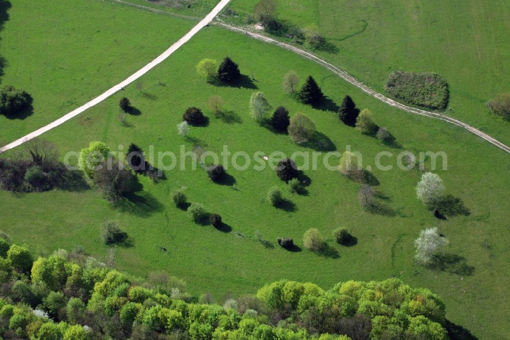 Aerial image Basel - Outdoor art- installation of growing trees in Basel, Switzerland, at the border to Germany in Weil am Rhein