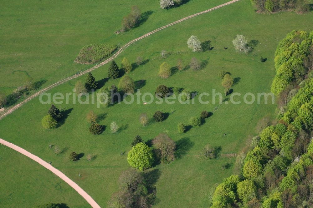 Basel from above - Outdoor art- installation of growing trees in Basel, Switzerland, at the border to Germany in Weil am Rhein