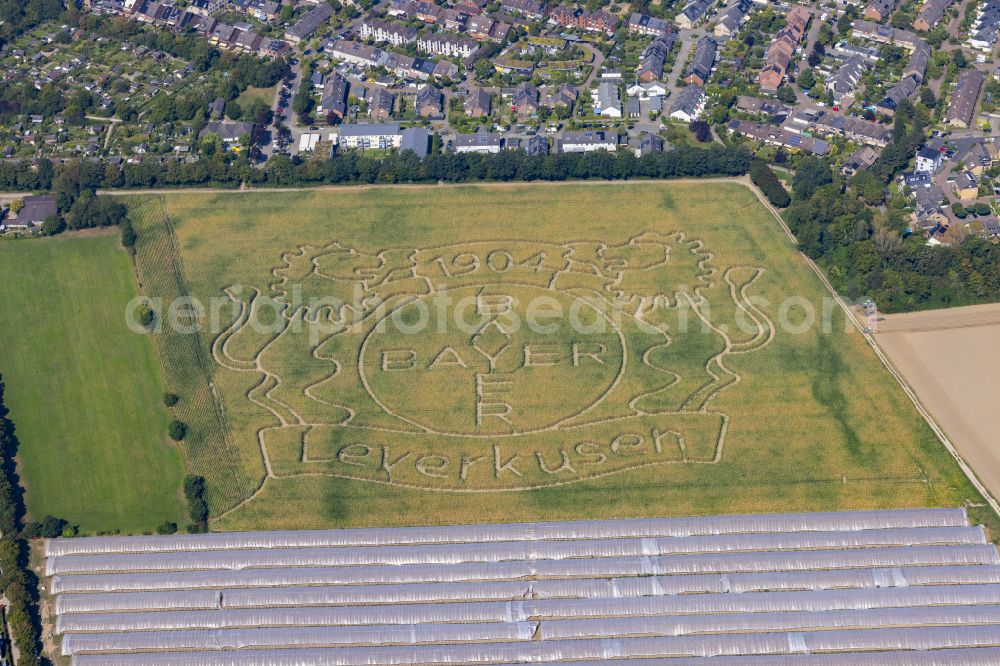 Stadtbezirk 10 from the bird's eye view: Art installation of an open-air sculpture Bayer Leverkusen 1904 in a field on Dietrich-Bonhoeffer-Strasse in district 10 in the state of North Rhine-Westphalia, Germany