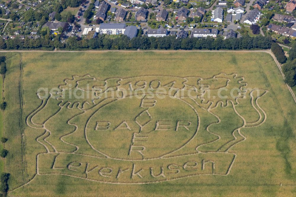 Aerial image Stadtbezirk 10 - Art installation of an open-air sculpture Bayer Leverkusen 1904 in a field on Dietrich-Bonhoeffer-Strasse in district 10 in the state of North Rhine-Westphalia, Germany