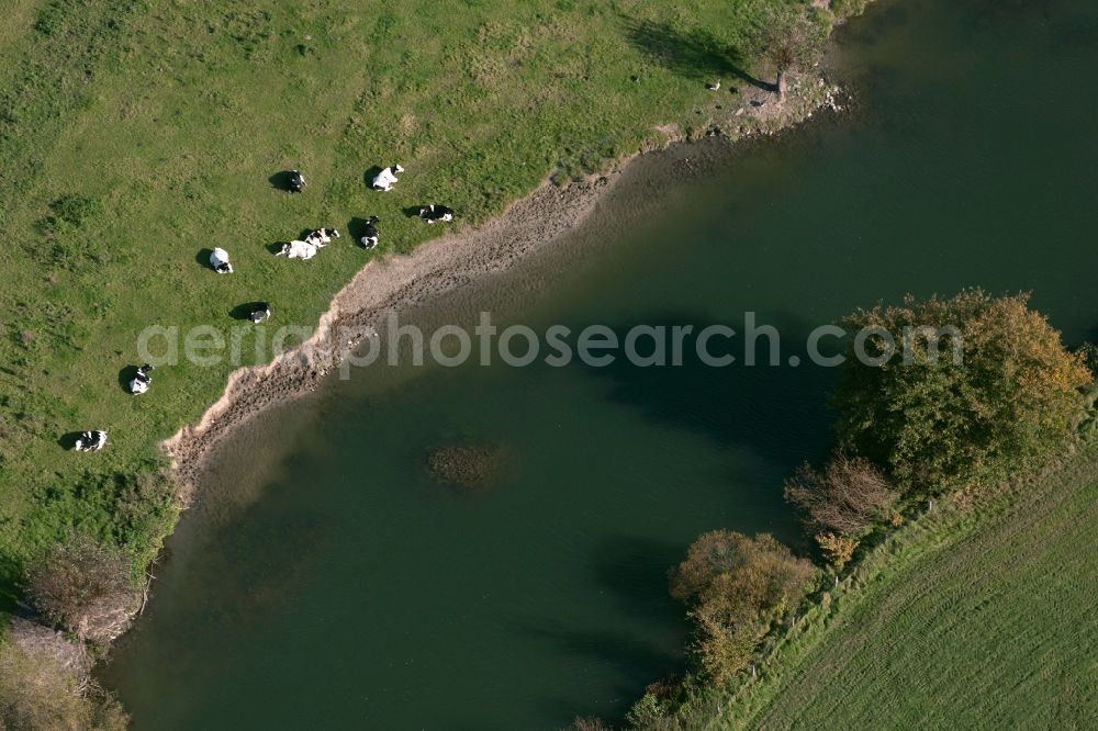 Aerial photograph Hamm - Curves in the course of the river the lip on the lip Meadows near Hamm in North Rhine-Westphalia