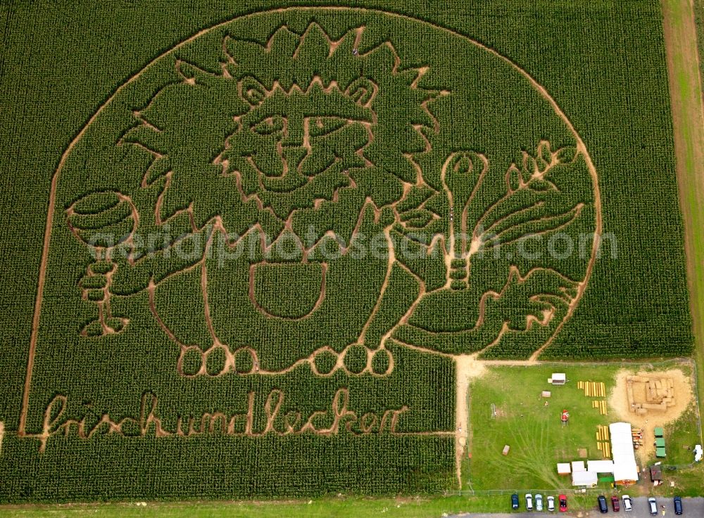 Dieburg from the bird's eye view: Maze with motif of a lion an lettering in Dieburg in Hessen