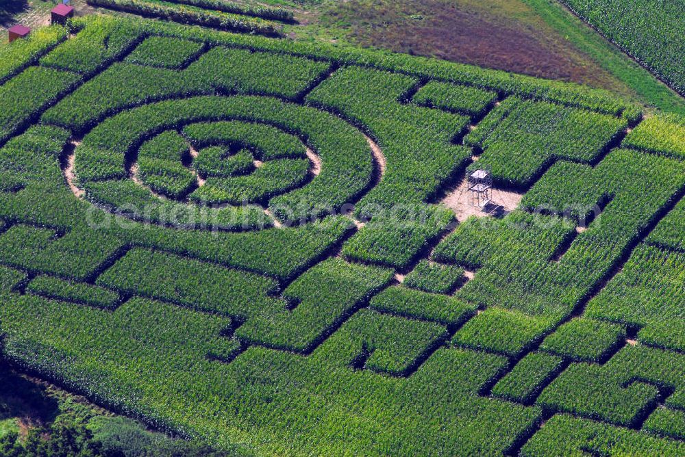 Aerial image Sulzemoos - Blick auf das Labyrinth im Maisfeld in Sulzemoos.