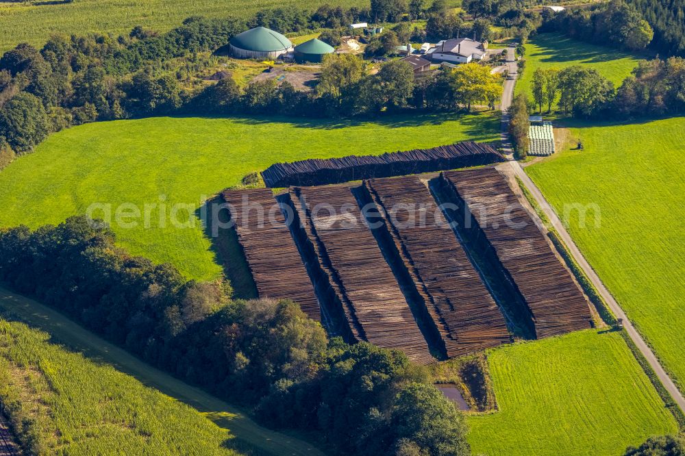 Aerial photograph Rönkhausen - Storage area and wood storage area for felled tree trunks as a raw material for the wood industry in the industrial area on the street Lindenallee in Roenkhausen in the state North Rhine-Westphalia, Germany