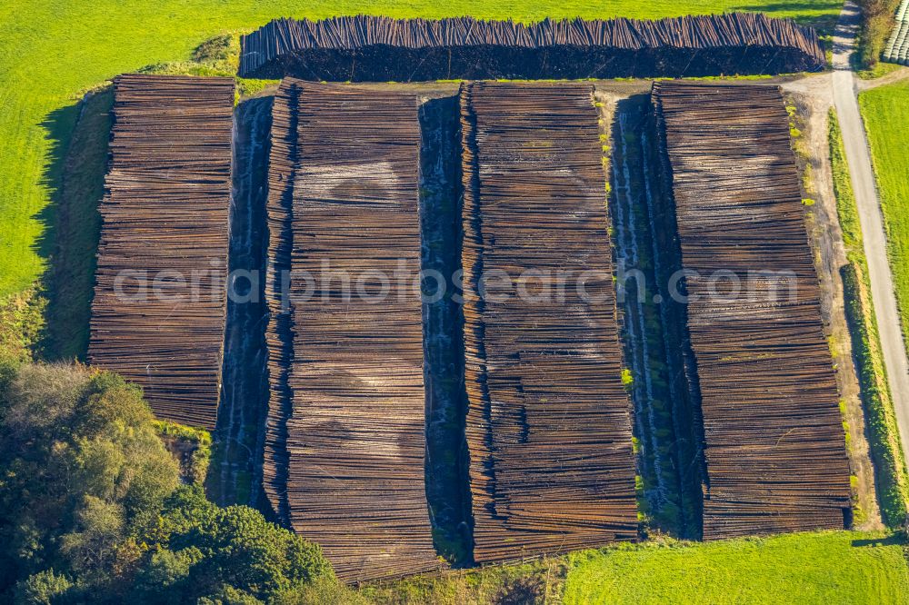 Rönkhausen from above - Storage area and wood storage area for felled tree trunks as a raw material for the wood industry in the industrial area on the street Lindenallee in Roenkhausen in the state North Rhine-Westphalia, Germany