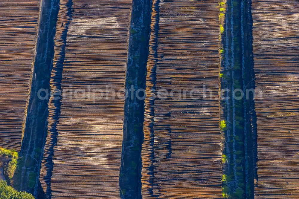 Rönkhausen from the bird's eye view: Storage area and wood storage area for felled tree trunks as a raw material for the wood industry in the industrial area on the street Lindenallee in Roenkhausen in the state North Rhine-Westphalia, Germany