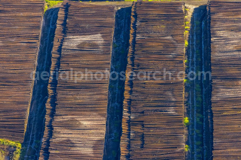 Aerial image Rönkhausen - Storage area and wood storage area for felled tree trunks as a raw material for the wood industry in the industrial area on the street Lindenallee in Roenkhausen in the state North Rhine-Westphalia, Germany