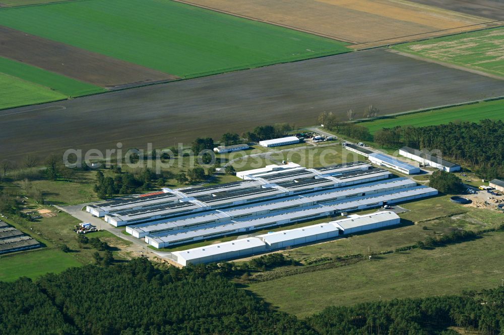 Wanzlitz from the bird's eye view: Warehouses and forwarding building on Ausbau in Wanzlitz in the state Mecklenburg - Western Pomerania, Germany