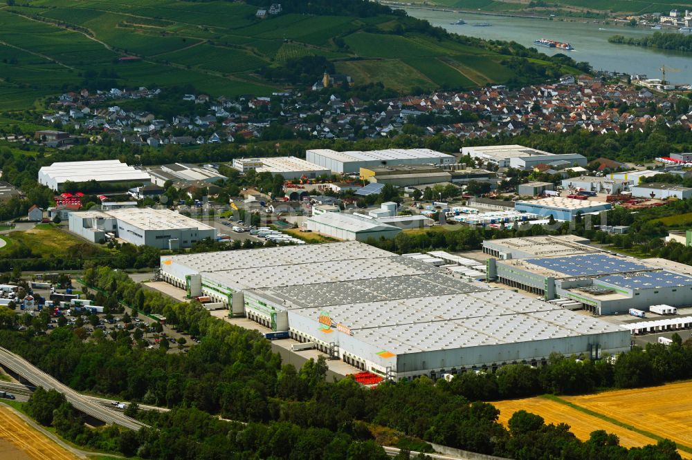 Aerial photograph Bingen am Rhein - Warehouses and forwarding building Globus Logistik & Service GmbH on street Am Ockenheimer Graben in the district Gaulsheim in Bingen am Rhein in the state Rhineland-Palatinate, Germany