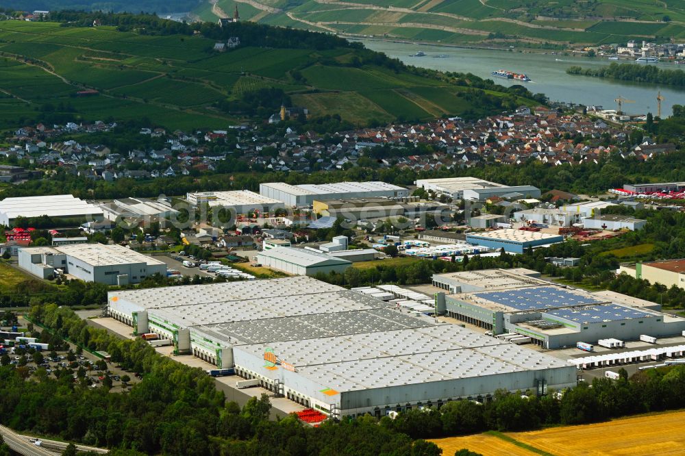 Bingen am Rhein from above - Warehouses and forwarding building Globus Logistik & Service GmbH on street Am Ockenheimer Graben in the district Gaulsheim in Bingen am Rhein in the state Rhineland-Palatinate, Germany