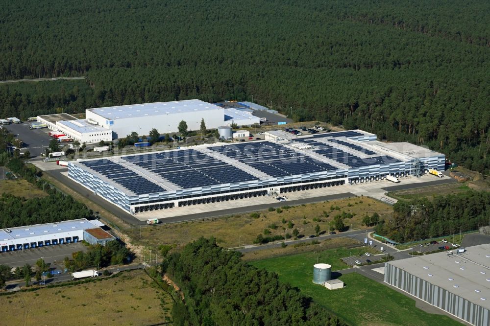 Freienbrink from the bird's eye view: Warehouses and forwarding building Lidl Vertriebs-GmbH & Co. KG on Ahornstrasse in Freienbrink in the state Brandenburg, Germany