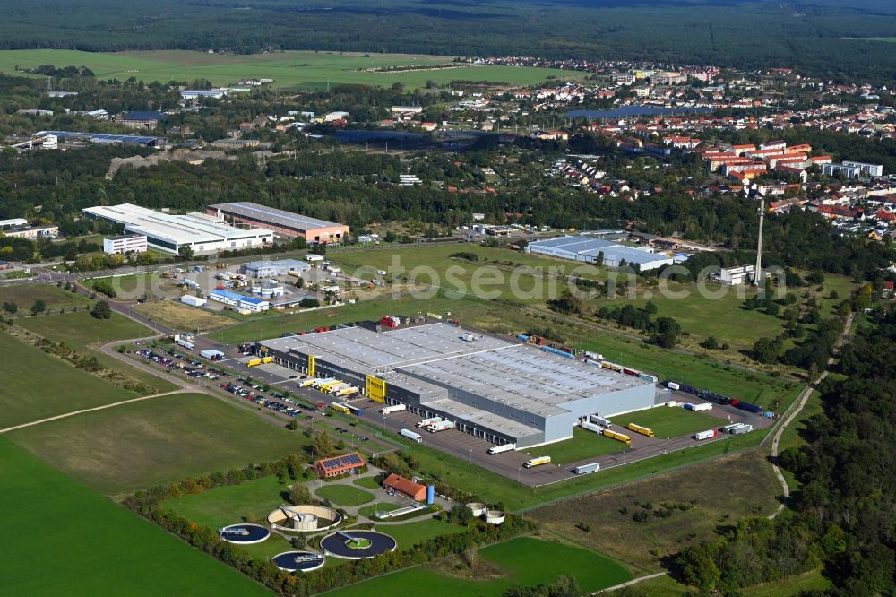 Aerial image Coswig (Anhalt) - Warehouses and forwarding building Netto Marken-Discount Am Brennickel in Coswig (Anhalt) in the state Saxony-Anhalt, Germany