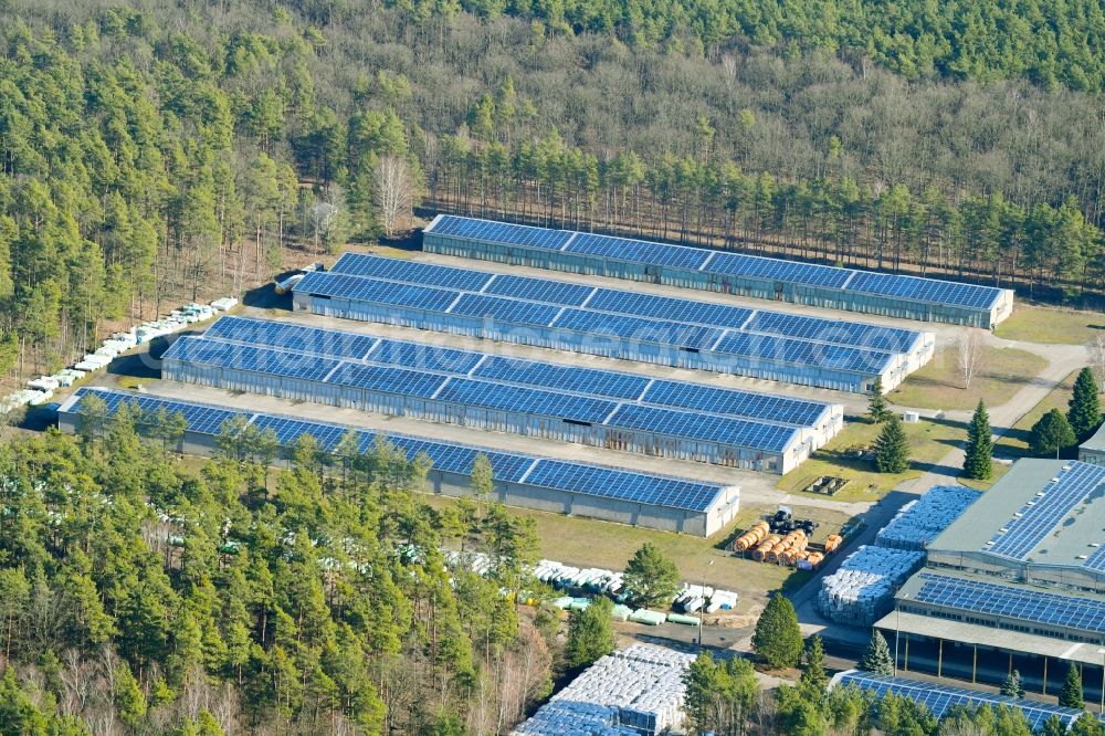 Aerial photograph Hangelsberg - Warehouse complex-building in the industrial area in Hangelsberg in the state Brandenburg, Germany