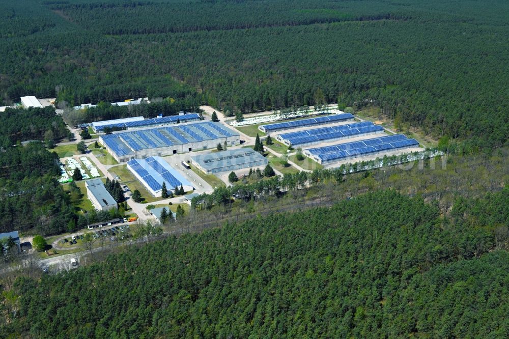 Hangelsberg from above - Warehouse complex-building in the industrial area in Hangelsberg in the state Brandenburg, Germany