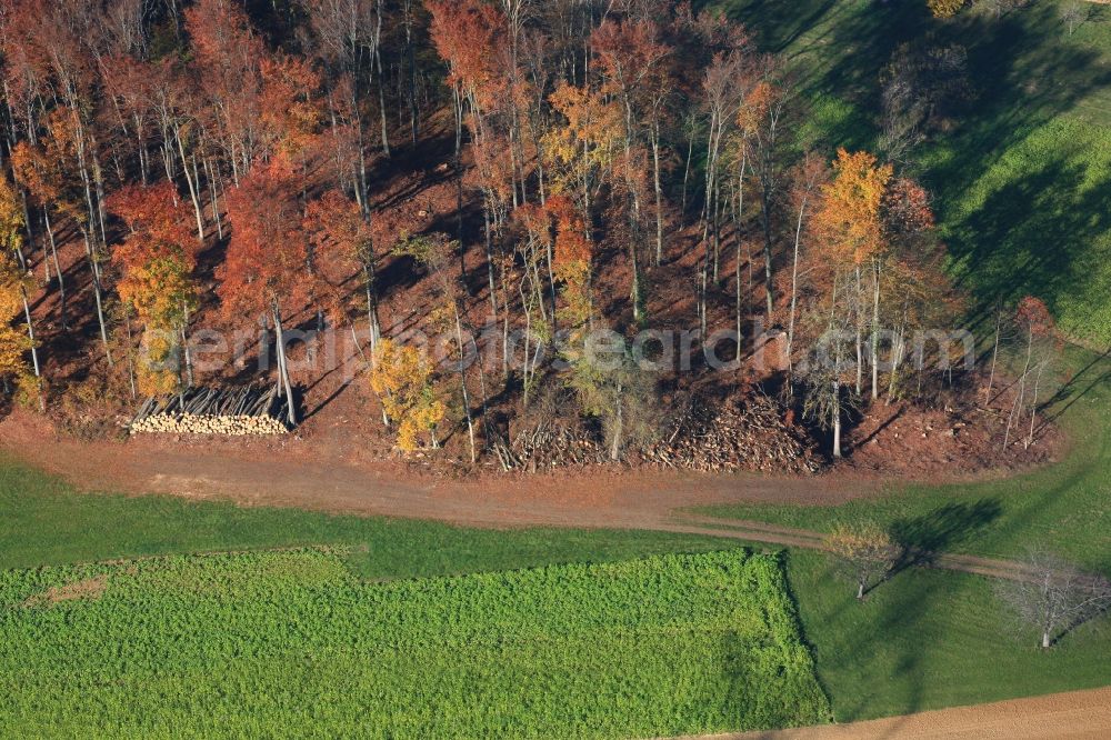 Aerial image Maulburg - Lumberyard for firewood and raw material for wood chips on autumnal forest in Maulburg in the state of Baden-Wuerttemberg. Standing timber is a building material and the branches are energy sources for renewable energy,