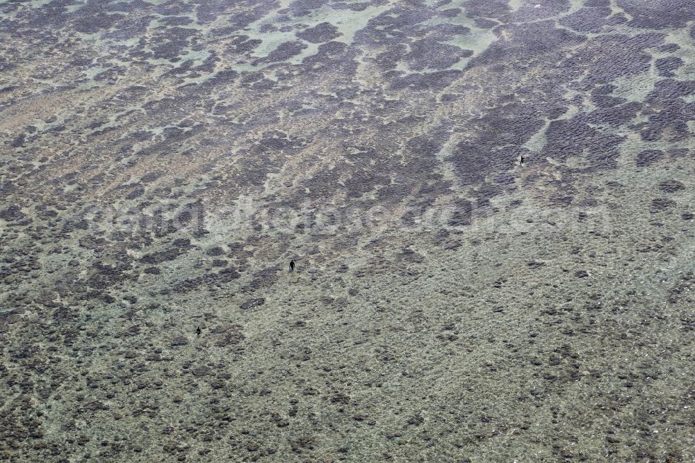 Aerial image Surinam - Lagoon with shallow, clear water at Surinam at the south coast of the island Mauritius in the Indian Ocean