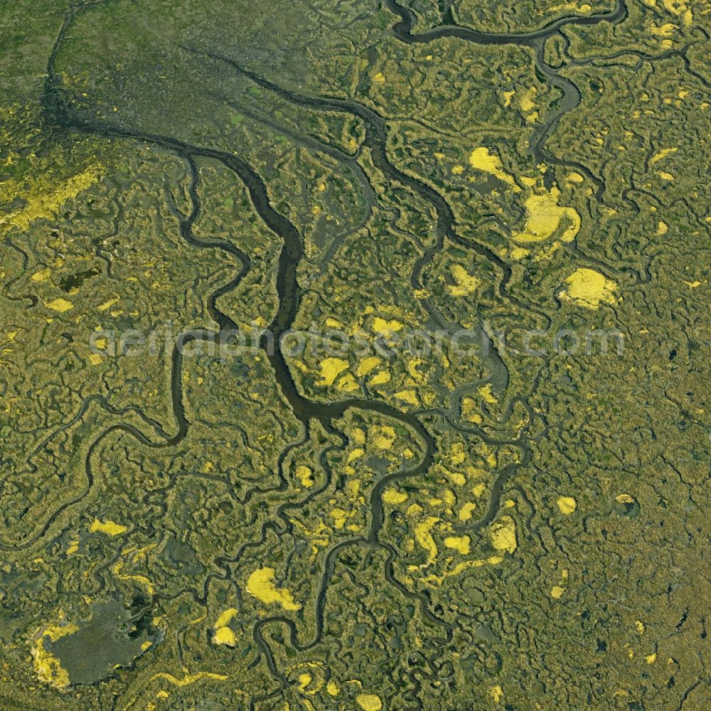 Aerial photograph Conche - Ponds and Morast- water surface in a pond landscape in Conche in Veneto, Italy