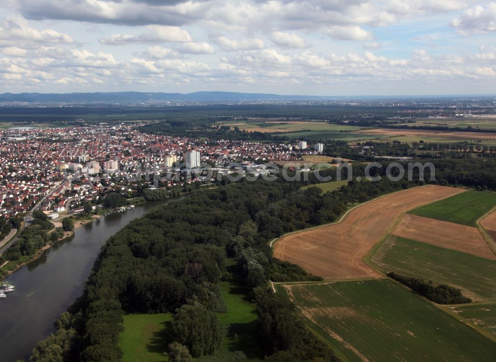 Aerial photograph Lampertheim - View of the city Lampertheim, which lies near the conservation area Lampertheimer Altrhein, also called Naurschutzgebiet Biedensand, in the state of Hesse. The river Old Rhine is a former Rhine loop