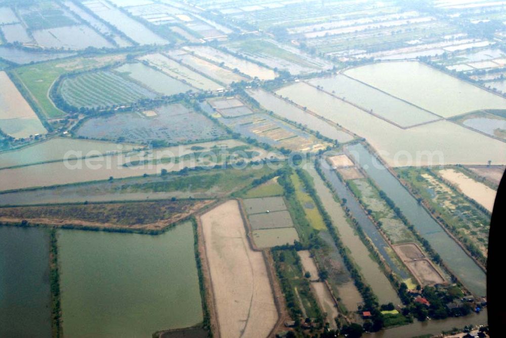 Aerial photograph Bangkok / Thailand - Landeanflug mit einem Airbus A330 der LTU auf dem Flughafen Bangkok International von Norden her über Reisanbaugebiete am Stadtrand