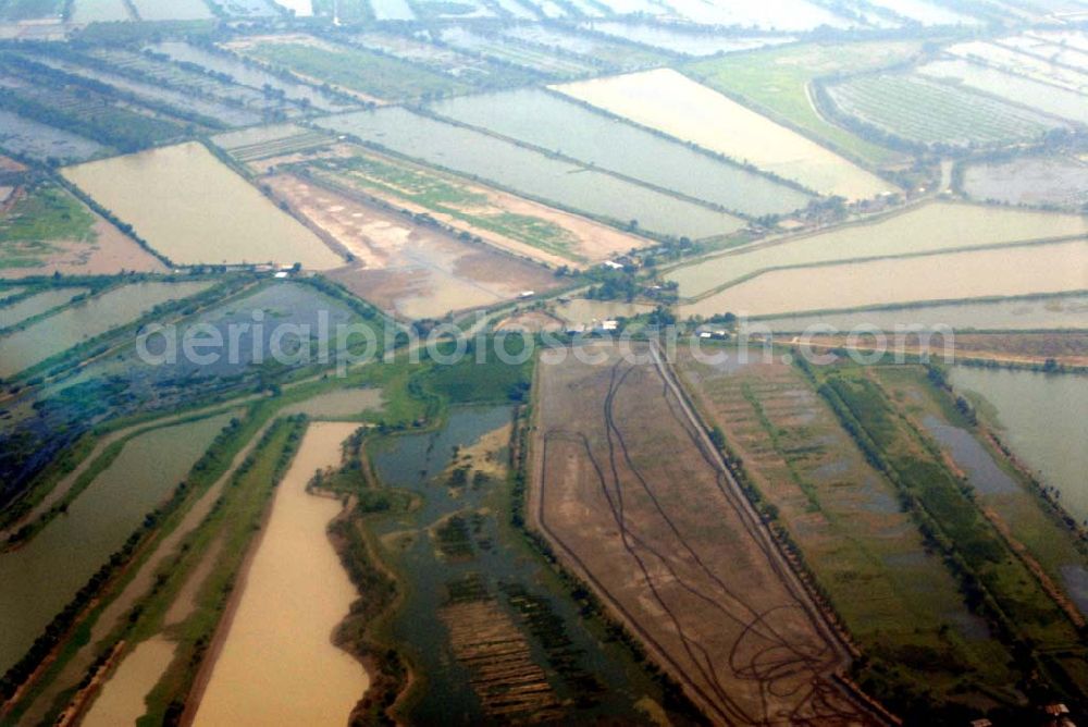 Bangkok / Thailand from above - Landeanflug mit einem Airbus A330 der LTU auf dem Flughafen Bangkok International von Norden her über Reisanbaugebiete am Stadtrand