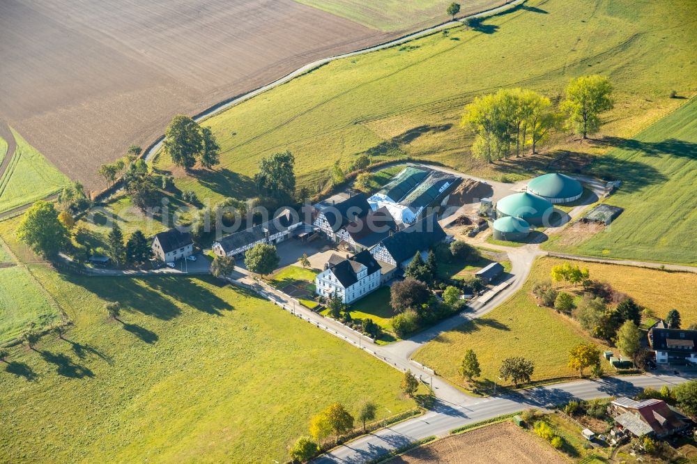 Wallen from the bird's eye view: Farm on the edge of cultivated fields in Meschede in the state North Rhine-Westphalia