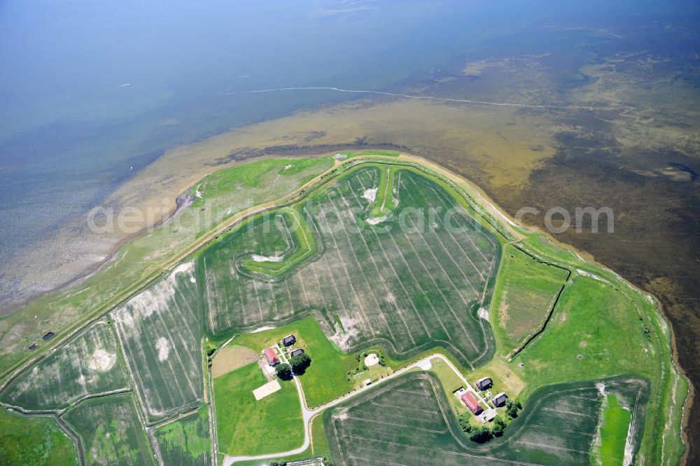 Lieschow from the bird's eye view: Landhotel & Restaurant Kiebitzort im Nationalpark Vorpommersche Boddenlandschaft in Lieschow auf der Insel Rügen direkt am Kubitzer Bodden in Mecklenburg-Vorpommern. Country hotel and restaurant Kiebitzort in the national park in Lischow at the Rugia island in Mecklenburg-Western Pomerania.