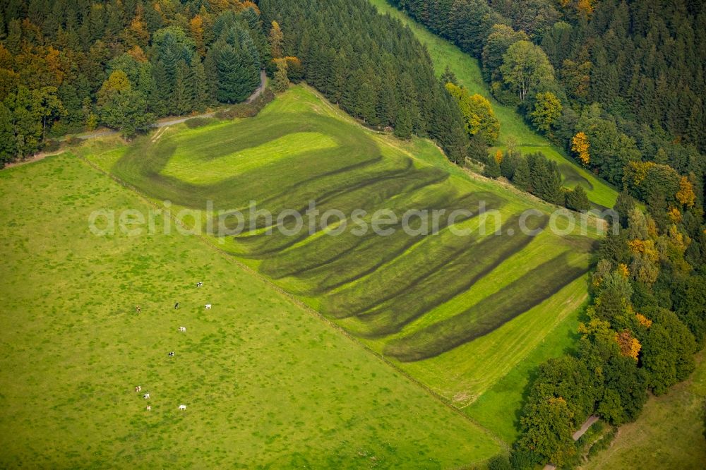 Aerial photograph Meschede - Farm equipment used for fertilizing fields in Meschede in the state North Rhine-Westphalia