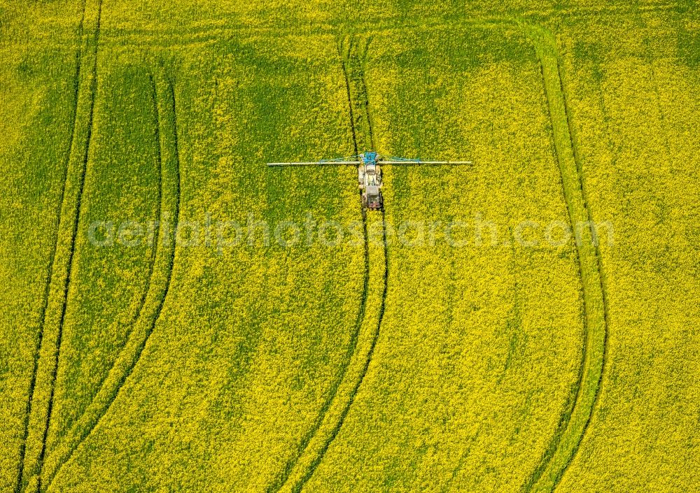 Uelde from above - Farm equipment used for fertilizing yellow fields in Uelde in the state North Rhine-Westphalia, Germany