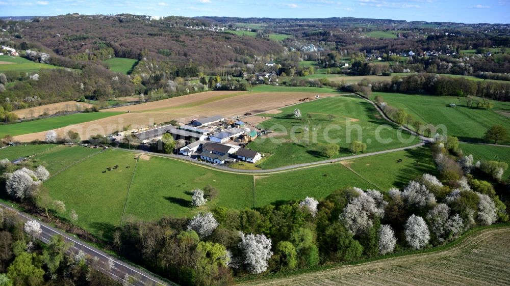 Königswinter from above - Butcher's shop Klein in Koenigswinter in the state North Rhine-Westphalia, Germany