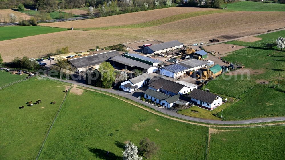 Königswinter from the bird's eye view: Butcher's shop Klein in Koenigswinter in the state North Rhine-Westphalia, Germany