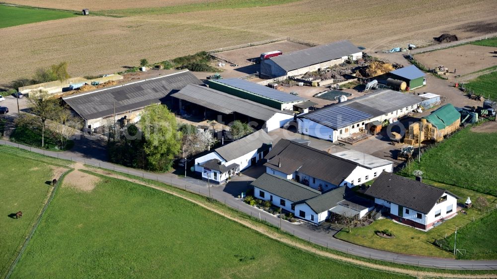 Aerial photograph Königswinter - Butcher's shop Klein in Koenigswinter in the state North Rhine-Westphalia, Germany