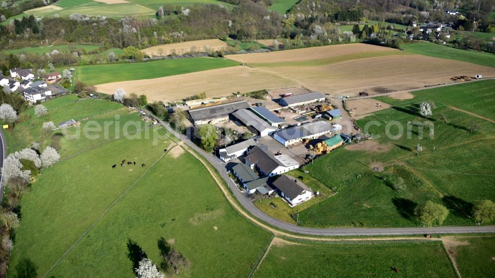 Königswinter from the bird's eye view: Butcher's shop Klein in Koenigswinter in the state North Rhine-Westphalia, Germany