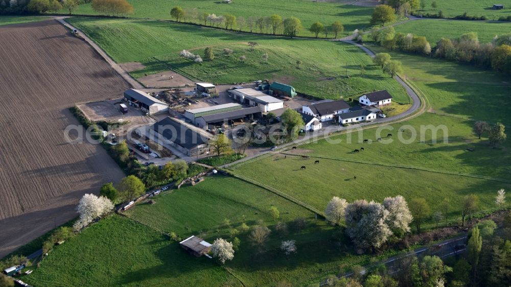 Aerial photograph Königswinter - Butcher's shop Klein in Koenigswinter in the state North Rhine-Westphalia, Germany