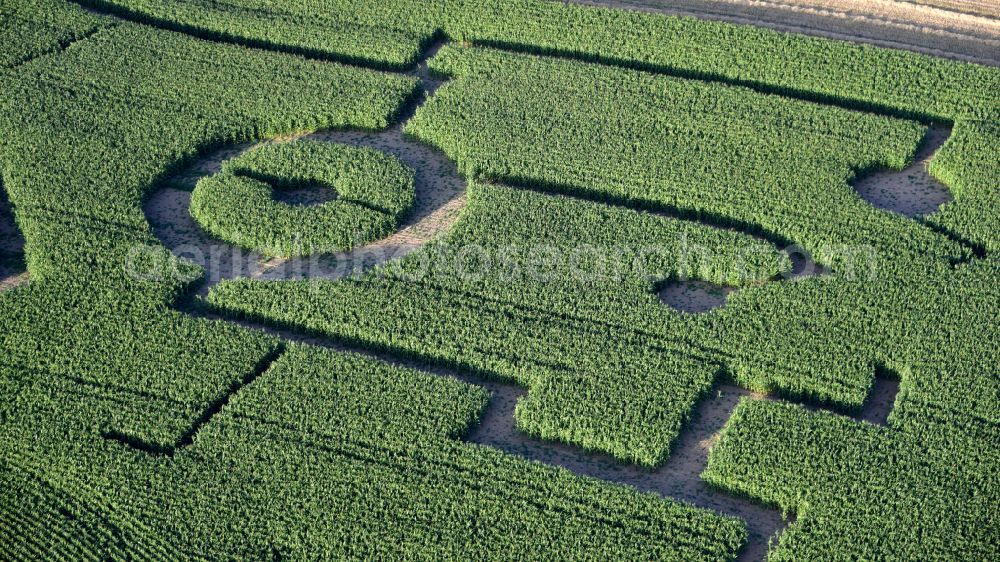 Königswinter from the bird's eye view: Butcher's shop Klein with corn field and maze in Koenigswinter in the state North Rhine-Westphalia, Germany