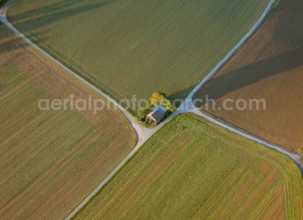 Aerial image Meschede - Landscape of adjacent fields with cluster of trees on the outskirts of Meschede in the state of North Rhine-Westphalia