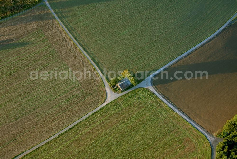 Aerial photograph Meschede - Landscape of adjacent fields with cluster of trees on the outskirts of Meschede in the state of North Rhine-Westphalia