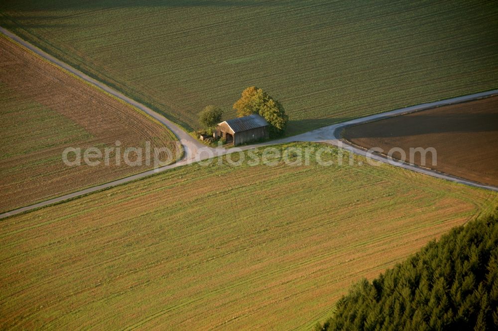 Aerial image Meschede - Landscape of adjacent fields with cluster of trees on the outskirts of Meschede in the state of North Rhine-Westphalia