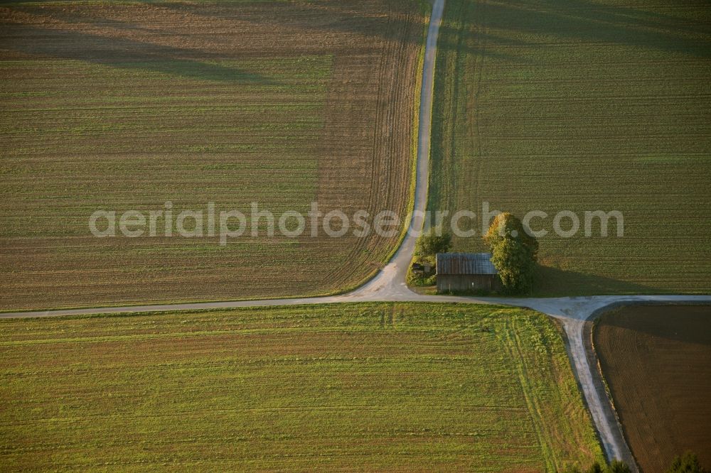 Aerial photograph Meschede - Landscape of adjacent fields with cluster of trees on the outskirts of Meschede in the state of North Rhine-Westphalia