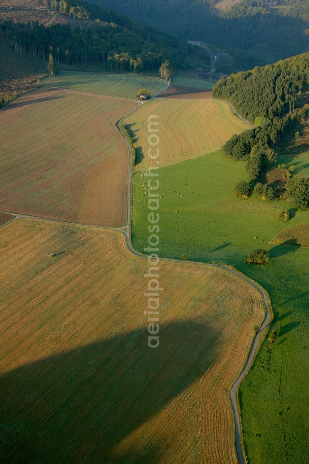 Aerial image Meschede - Landscape of adjacent fields with cluster of trees on the outskirts of Meschede in the state of North Rhine-Westphalia