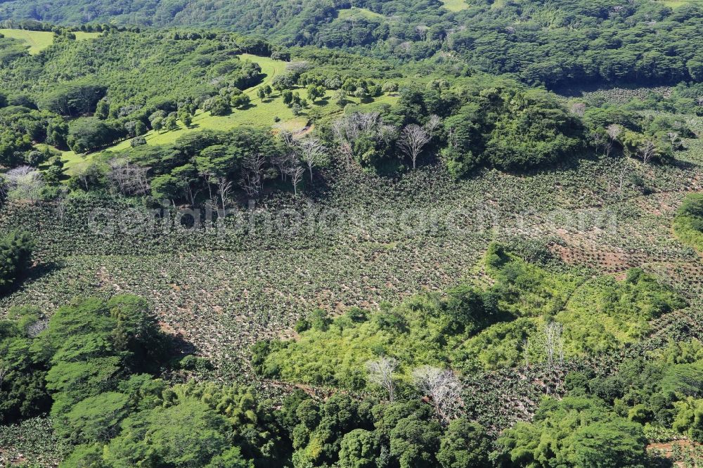 Choisy from above - Farming landscape at Choisy in the fertile southwest of Mauritius
