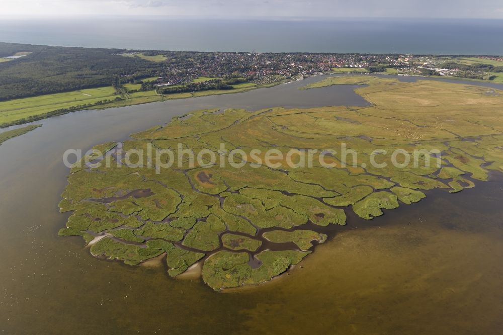 Aerial image Zingst - Barth Bodden landscape of the Big Island at Kirr Zingst in Mecklenburg-Western Pomerania