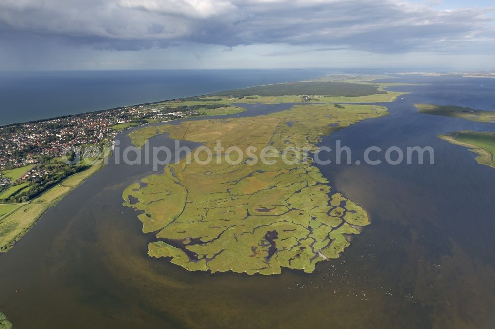 Aerial photograph Zingst - Barth Bodden landscape of the Big Island at Kirr Zingst in Mecklenburg-Western Pomerania