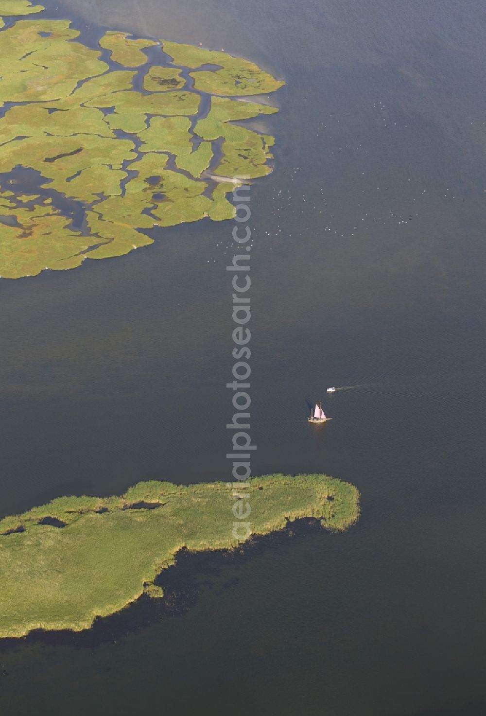 Zingst from the bird's eye view: Barth Bodden landscape of the island and one of the Big Kirr flatboat / sailboat in Zingst in Mecklenburg-Western Pomerania